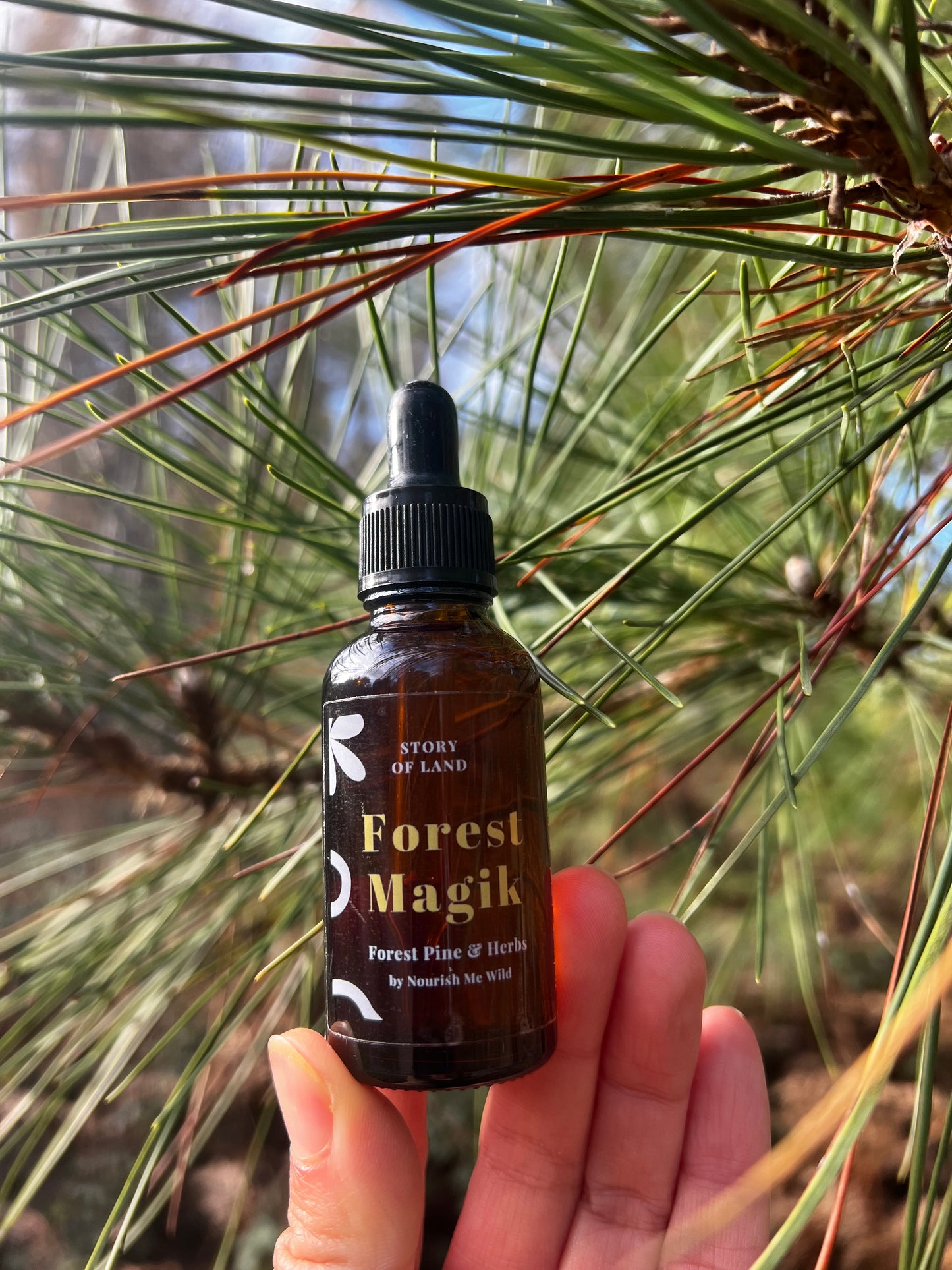 Sherwood Forest Bundle